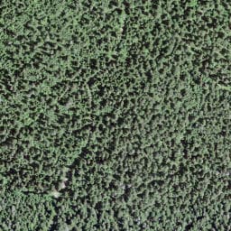 Vue satellite de La Girouette à Mouthe