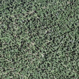 Vue satellite de La Sauvageonne à Mouthe