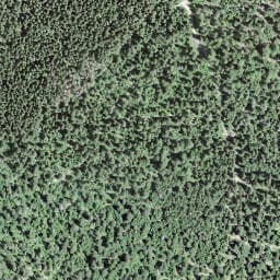 Vue satellite de Le Négus à Chaux-Neuve
