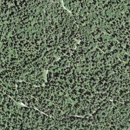 Vue satellite de La Marocaine à Chaux-Neuve