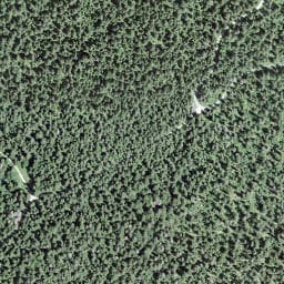 Vue satellite de La Tournante à Chaux-Neuve
