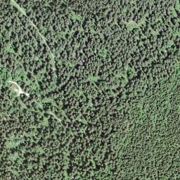 Vue satellite de Le Bois à Ban à Mouthe