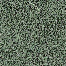 Vue satellite de La Chapelle à Chaux-Neuve