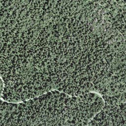 Vue satellite de La Turque à Chaux-Neuve