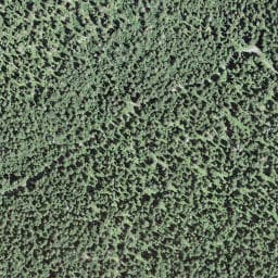 Vue satellite de La Place à Fourneau à Chapelle-des-Bois