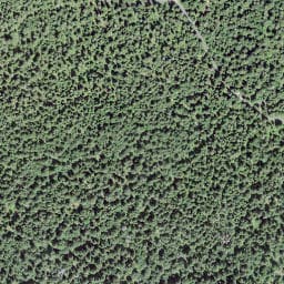 Vue satellite de La Pierre-à-Pointe à Chapelle-des-Bois