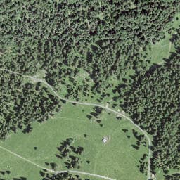 Vue satellite de Couvert à Chapelle-des-Bois