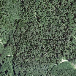 Vue satellite de Abri des Grandes Perrauses à Rochejean