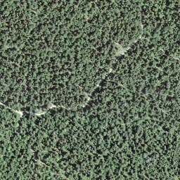 Vue satellite de Les Combes à Chapelle-des-Bois