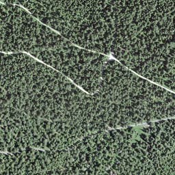 Vue satellite de Le Bambi (2) à Chapelle-des-Bois