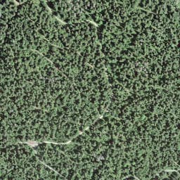 Vue satellite de Le Bonnet-de-Police à Chapelle-des-Bois
