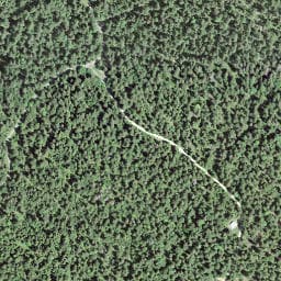 Vue satellite de Le Gy Louis à Chapelle-des-Bois
