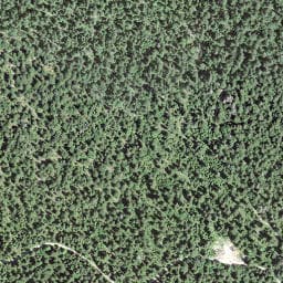 Vue satellite de Le Pré-à-la-Dame à Chapelle-des-Bois