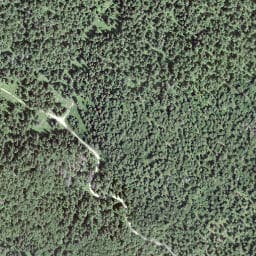 Vue satellite de Abri de la Roche Bernard à Chapelle-des-Bois