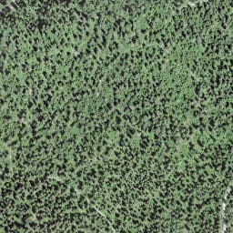 Vue satellite de La Molasse I à Chapelle-des-Bois