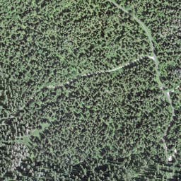 Vue satellite de La Combe Herbée à Chapelle-des-Bois