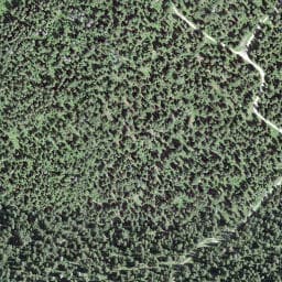 Vue satellite de Grands-Crêts-du-Vent à Bois-d'Amont