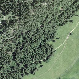 Vue satellite de Couvert de la Combette à Bois-d'Amont