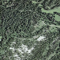 Vue satellite de Chalet de la Croix à Bois-d'Amont