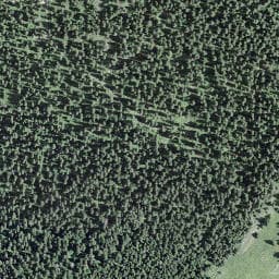 Vue satellite de L'Intercommunale à Bois-d'Amont