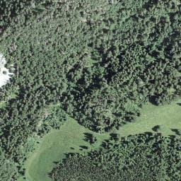 Vue satellite de La Combe-des-Mines à Bois-d'Amont