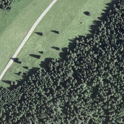 Vue satellite de La cabane à Charly à Bois-d'Amont
