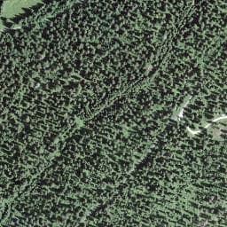 Vue satellite de Bois de Caboules à Bois-d'Amont
