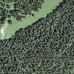 Vue satellite de La Rinaldi à Bois-d'Amont