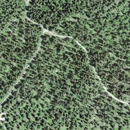 Vue satellite de Place d'Armes à Bois-d'Amont