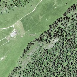 Vue satellite de Les Begnines à Bois-d'Amont