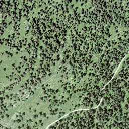Vue satellite de La Pince Motte à Bois-d'Amont
