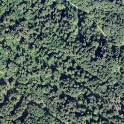 Vue satellite de Cabane Les Granges à Saint-Gingolph