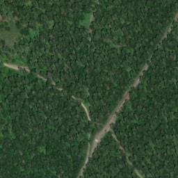 Vue satellite de Cabane forestiere à La Pesse