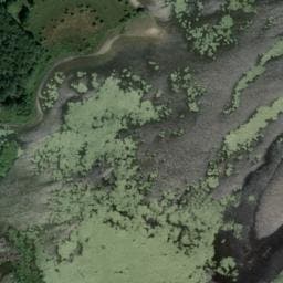 Vue satellite de Affûts de l'étang des Landes à Lussat