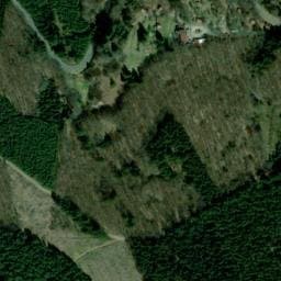 Vue satellite de Les Myrtilles à Saint-Rirand