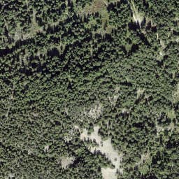 Vue satellite de Fontaine piste forêt Voutaz à Vallorcine