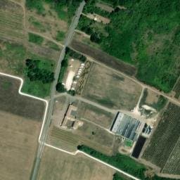 Vue satellite de Maxime Pinard à Saint-Denis-d'Oléron