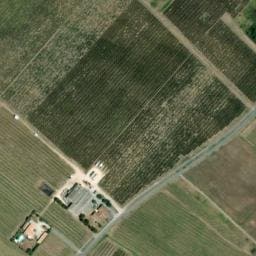 Vue satellite de Vignoble Vincent à Dolus-d'Oléron