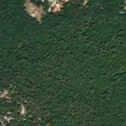 Vue satellite de Oléron Les Chênes Verts à Dolus-d'Oléron
