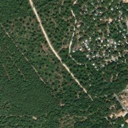 Vue satellite de Les pins d'Oléron à Le Grand-Village-Plage