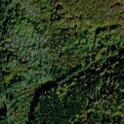 Vue satellite de Fontaine du Loup à Ceyssat