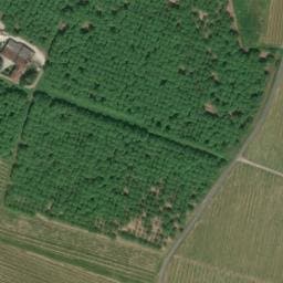 Vue satellite de La Noyeraie des Borderies à Val-de-Cognac
