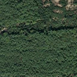 Vue satellite de Les Pins de la Coubre à La Tremblade