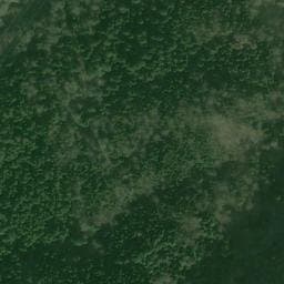 Vue satellite de Cabane forestière de la Baraque Noire à Grignon