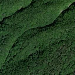 Vue satellite de Cabane du Gros Fayard à Sainte-Reine