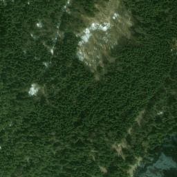 Vue satellite de Abri de Fougère à Cevins