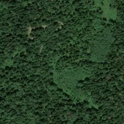 Vue satellite de Cabane forestière du Caut à La Bauche