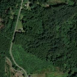 Vue satellite de Les Sapins de Corrèze à Lamazière-Basse