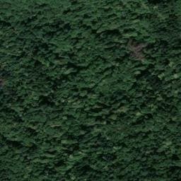 Vue satellite de La Tuine à Goncelin