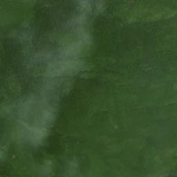Vue satellite de Cabane sous les Mûres Rouges à Saint-Martin-de-la-Porte